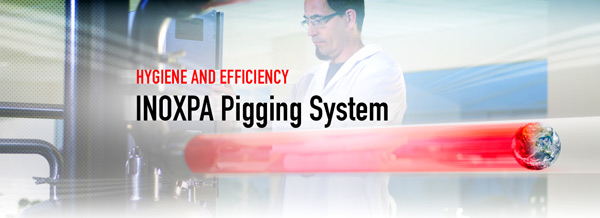 Pigging system